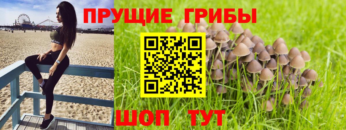 Галлюциногенные грибы мухоморы Дивногорск